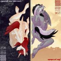 The Magic Flicker(feat. EileMonty)_Silva Hound,Jyc Row,EileMonty