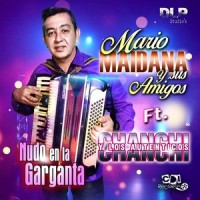 Nudo en la garganta_Mario Maidana y sus amigos,Chanchi y Los Autenticos,DLP Studio's