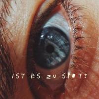 ist es zu spät?_Lukas Litt