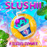 Summer Lasts Forever_Slushii,Love Jesse