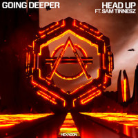 Head Up_Going Deeper,Sam Tinnesz