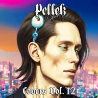 This Game (No Game No Life)_PelleK