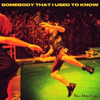 Somebody That I Used to Know_Three Days Grace