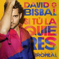 Si Tú La Quieres_David Bisbal