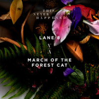 March of the Forest Cat_Lane 8