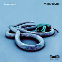 They Said_Omar LinX
