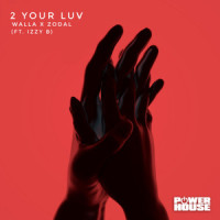 2 YOUR LUV(feat. IZZY B)_Walla,Zodal,Izzy B