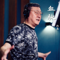 血脉_韩磊