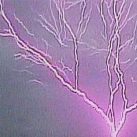 coma_Psychosis