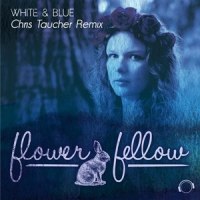 White & Blue_Flower Fellow