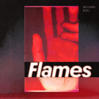 Flames_SG Lewis,Ruel