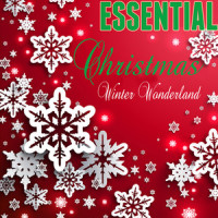 It's The Most Wonderful Time Of The Year_Various Artists,Val Doonican,George Wyle,Edward Pola