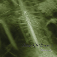 Woundheir_Shape of Despair