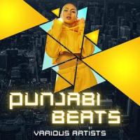 Insane_AP Dhillon,Shinda Kahlon,Gurinder Gill,Gminxr