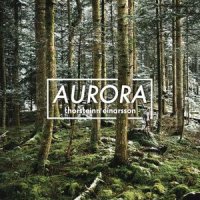 Aurora_Thorsteinn Einarsson