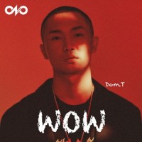 WOW_Dom.T