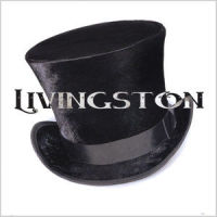 Your Love Is So Amazing_Livingston