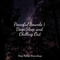 Twilight Dawn_Oasis de Détente et Relaxation,Exam Study Classical Music,Deep Sleep