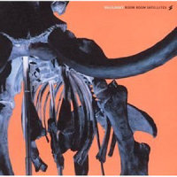 SOLILOQUY_BOOM BOOM SATELLITES