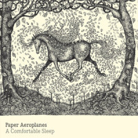 Winter Never Comes_Paper Aeroplanes,Richard Llewellyn,Sarah Howells