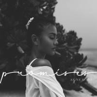 PROMISES_AGNEZ MO