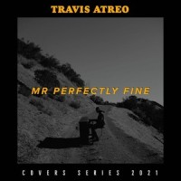 Mr. Perfectly Fine_Travis Atreo