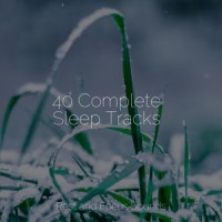Meditation Music_Massage Tribe,Wellness,Musica Reiki