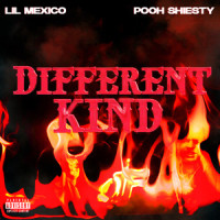 Different Kind_Lil Mexico,Pooh Shiesty