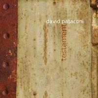 Surrender(feat. Klank)_David Pataconi,Klank