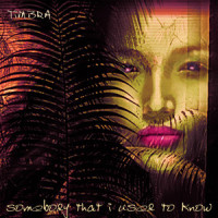 Somebody That I Used To Know_Kimbra