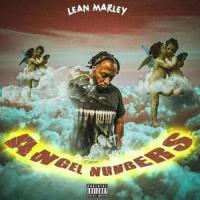 Doubt'n(feat. Babyface)_Lean Marley,Babyface