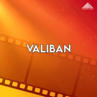 Ayyo Ayyo_Ilaiyaraaja,K. S. Chithra,S. P. Balasubrahmanyam