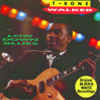 I Know Your Wig Has Gone_T-Bone Walker