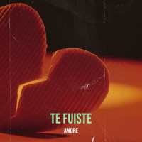 Te Fuiste_Andre