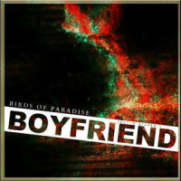 Boyfriend_Birds of Paradise