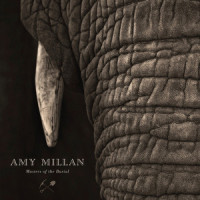 Run For Me_Amy Millan