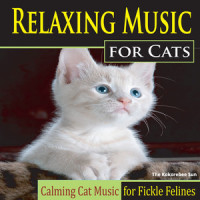 Jesu, Joy of Cats_The Kokorebee Sun,Johann Sebastian Bach