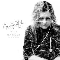 The Rarest Birds_Alison Moyet
