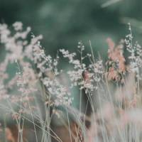 I Didn't Want To Hurt You._Essence,Jonathan Trice