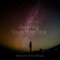 Rainy Meanderings_White Noise Baby Sleep,Sleepy Night Music,Spa