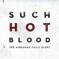 Elizabeth_The Airborne Toxic Event