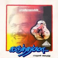 Poraale Ponnuthayi(Sad)(feat. Swarnalatha)_A.R. Rahman,Swarnalatha