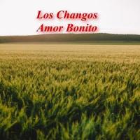 El Baile_Los Changos
