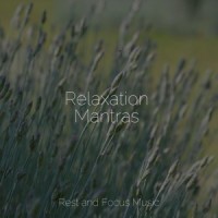 Dawn of Innocence_Sounds of Nature White Noise Sound Effects,Tinnitus Aid,Sleepy Times