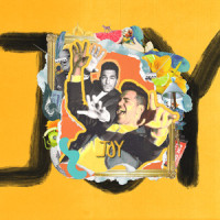 Joy_Andy Grammer