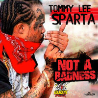 Not a Badness_Tommy Lee Sparta