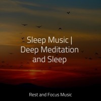 Forgotten Memories_Wellness,Hipnose Natureza Sons Coleção,Mindfulness Mediation World