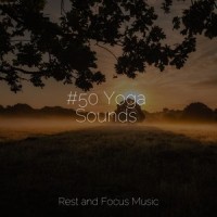Aurora Lights at Night_Sleep Sounds of Nature,Wellness,Entspannungsmusik Meer