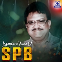 Premalokada Parijathave_S. P. Balasubrahmanyam,Hamsalekha