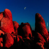 Lucid (feat. Nathan Ball)_Paraleven,Nathan Ball